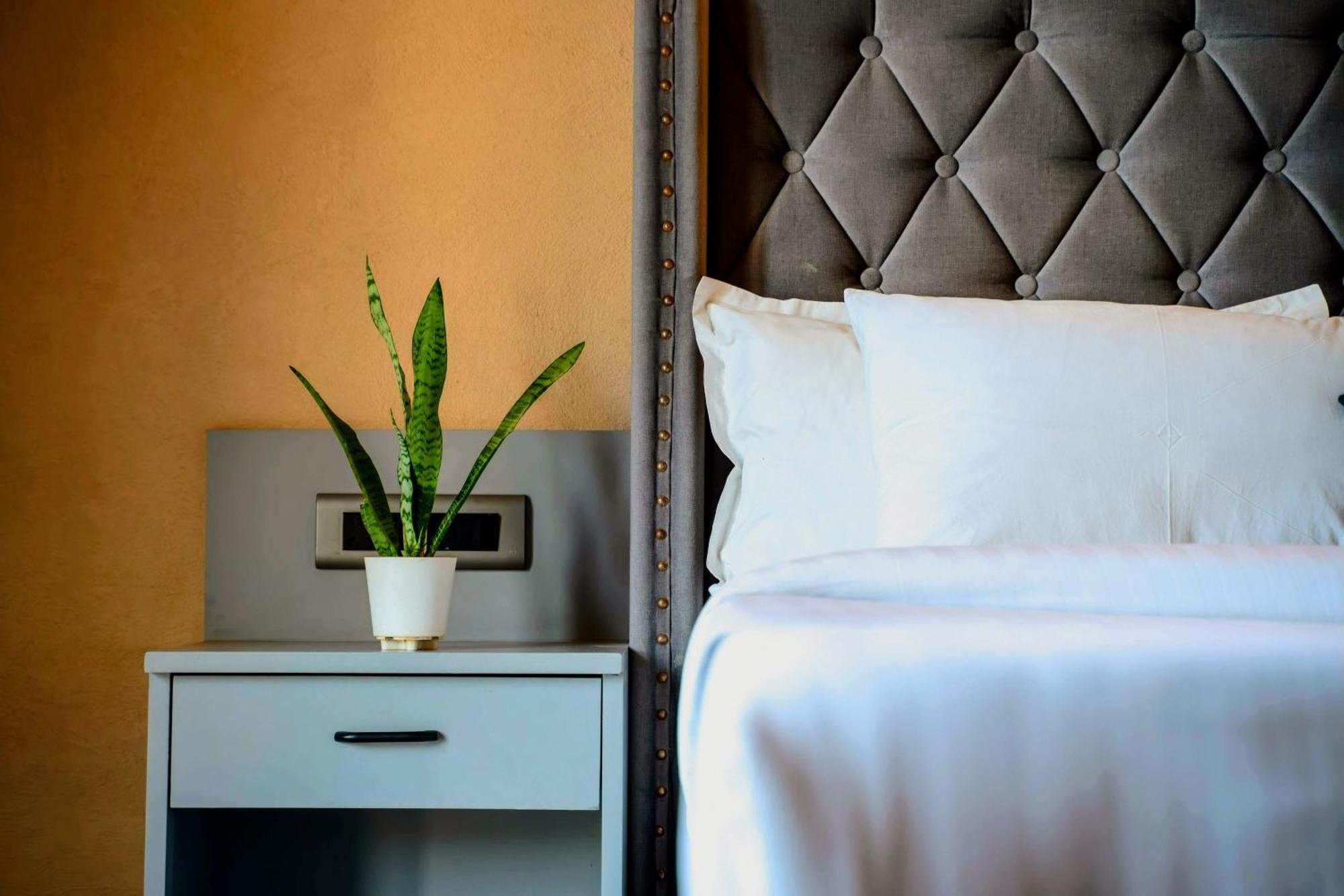 The Divine Hills Resort Nai Room photo